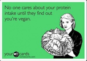 no one cares vegan