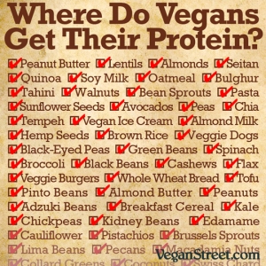 vegan protein sources checklist